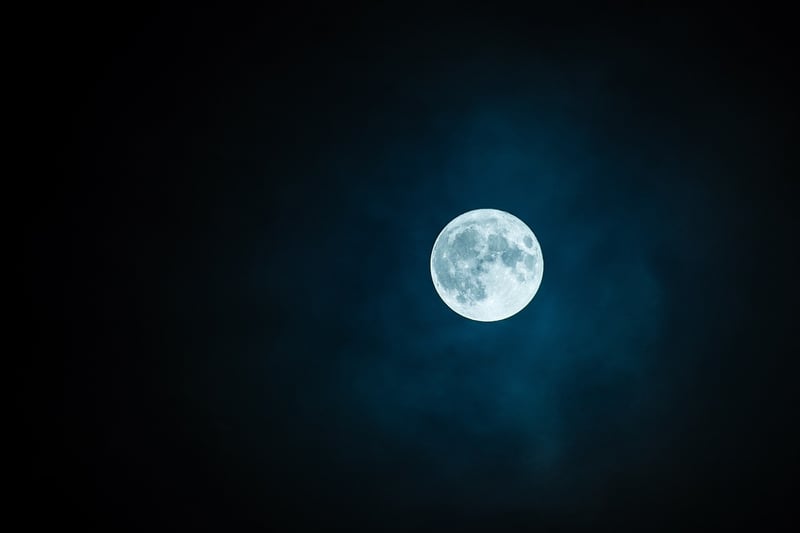 Moonlit Magic